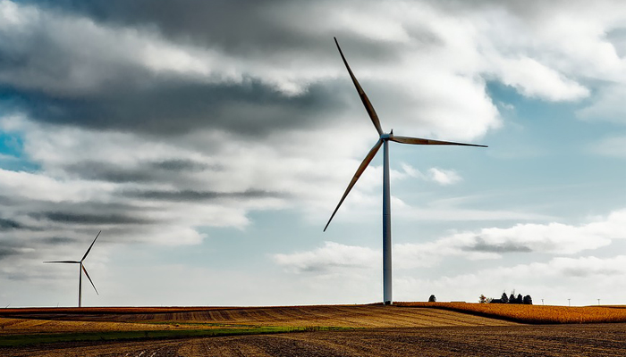 Wind Farm Renewable Energy Consulting